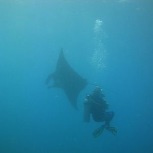 Meet your Posher, Nikalina